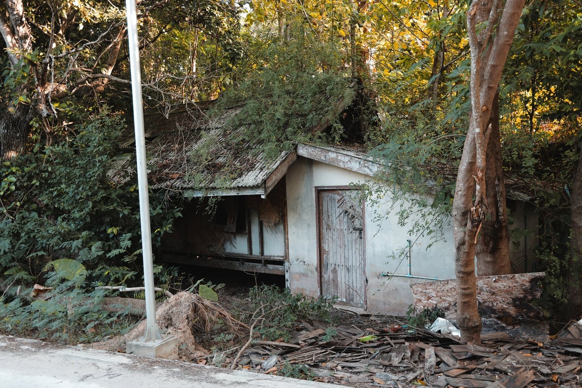 Older abandoned ranch house overtaken by nature, needs work